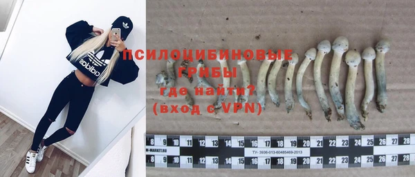 меф Заволжск