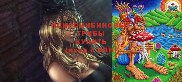 spice Заводоуковск
