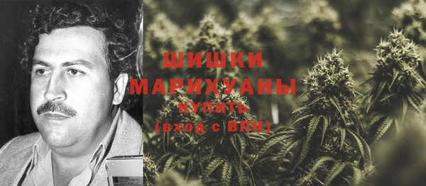 spice Заводоуковск