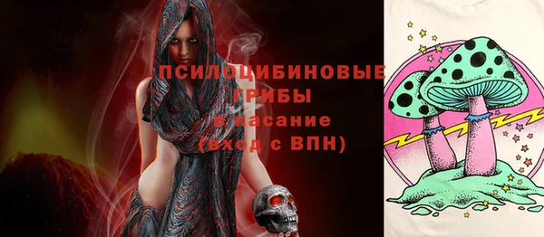 дурь Яранск