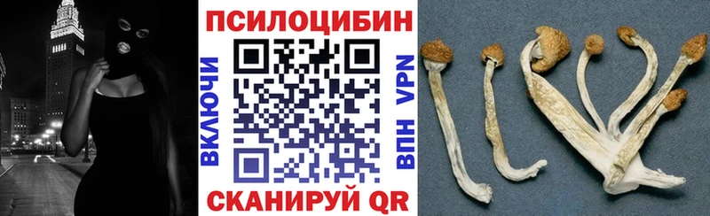 сайты даркнета какой сайт Пролетарск Псилоцибиновые грибы ЛСД